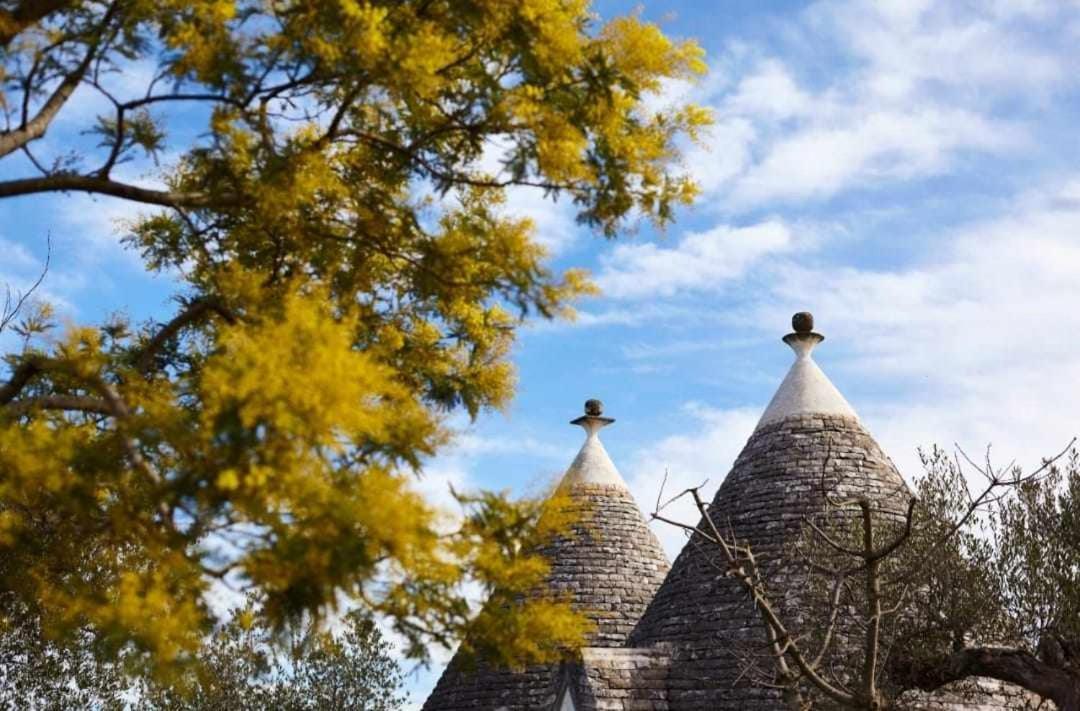 Trulli Azzalema With Exclusive Pool Villa Brindisi Dış mekan fotoğraf